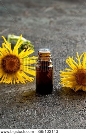 A Bottle Of Elecampane Essential Oil With Inula Helenium Flowers, With Copy Space