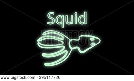 Squid On A Black Background, Vector Illustration, Neon. White Squid With Eyes. Neon White. Bright Il