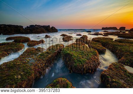 Amazing Seascape. Ocean With Moving Wave. Low Lide. Stones Covered By Green Moss And Seaweeds. Conce