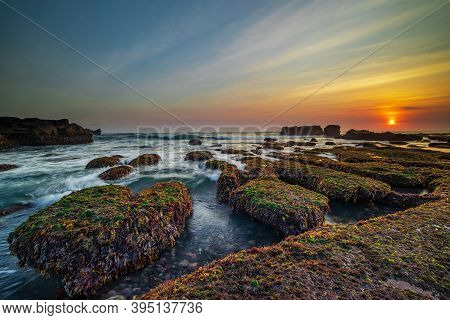 Amazing Seascape. Ocean With Moving Wave. Low Lide. Stones Covered By Green Moss And Seaweeds. Sun O