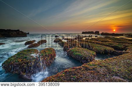 Amazing Seascape. Ocean With Moving Wave. Low Lide. Stones Covered By Green Moss And Seaweeds. Sun O