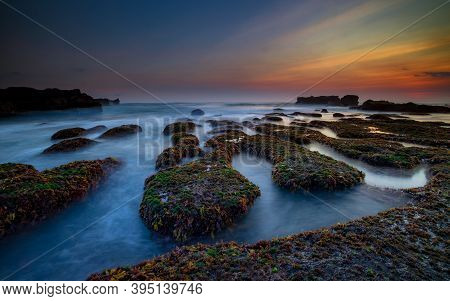 Beautiful Seascape. Ocean With Motion Waves. Low Lide. Stones Covered By Green Moss And Seaweeds. Co