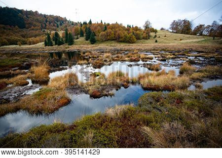 Scenic autumn view of small lake at Roosterâs Ridge, Gutaiului Mountains, Romania.