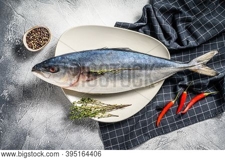 Fresh Whole Japanese Amberjack. Raw Fish Yellowtail. Gray Background. Top View