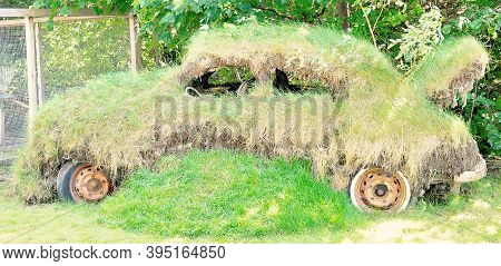 Classic Old Car Covered In Grass Ready For Green Wash