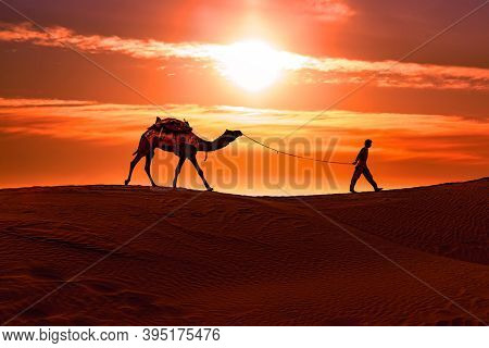 Cameleers, camel Drivers at sunset. Thar desert on sunset Jaisalmer, Rajasthan, India.