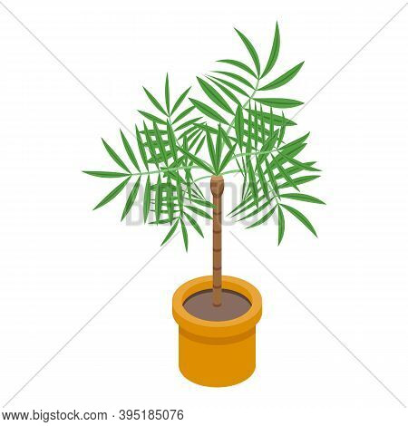 Palm Tree Pot Icon. Isometric Of Palm Tree Pot Vector Icon For Web Design Isolated On White Backgrou