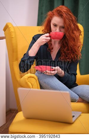 Nice beautiful lady with redhead curly hair work at the notebook sit down on the sofa at home - check on oline shops for cyber monday sales - technology woman concept for alternative office freelance