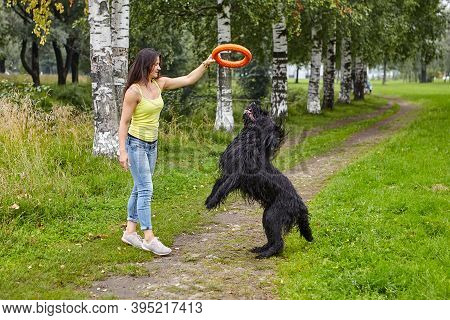 Woman Is Training Black Long-haired Briard In Park While Walking.