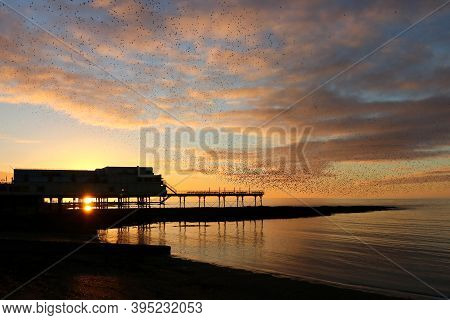 Aberystwyth Pier In Silhouette As A Murmuration Of Starlings Gather In The Sky Above At Sunset