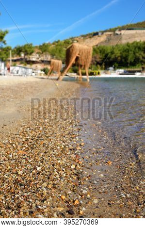 Small Brown Stones Are Washed By Sea Water On The Shore. Pebble Beach. Rest By The Sea.