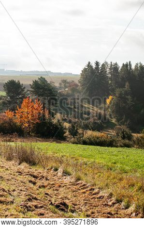 Hilly Autumn Landscape In Swabian Alb With A Wild Cherry Tree With Colorful Leaves