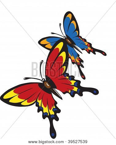motyl