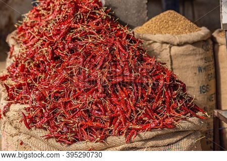 Hassan, Karnataka, India - November 3, 2013: Closeup Of Freshly Harvested Heap Of Red Jwala Hot Pepp