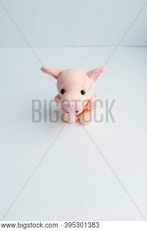 Soft Toy Pig On A Light Background