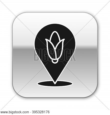 Black Location Corn Icon Isolated On White Background. Silver Square Button. Vector