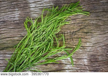 Acacia Pennata , Climbing Wattl / Senegalia Pennata On Wooden Nature Vegetable Kitchen Thai Herbal L
