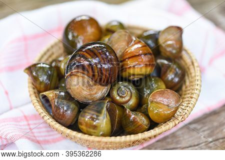 Apple Snail Freshwater Snail River From Nature Field For Food Cooked Thai Local Food, Pila Ampullace