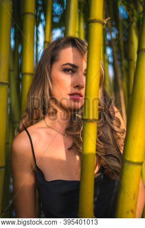 Lifestyle, Blonde Caucasian Girl In A Glamorous Black Dress In The Park In Nature, Perched On Some B