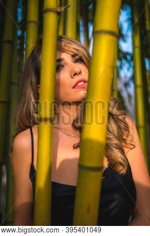 Lifestyle, Blonde Caucasian Girl In A Glamorous Black Dress In The Park In Nature, Perched On Some B