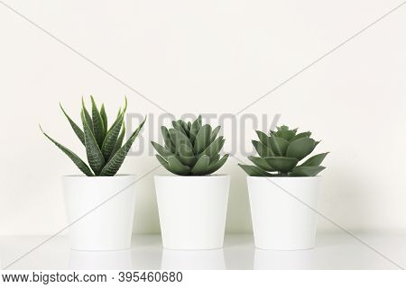 White Pots With Succulents And Cactus On Reflective Shelf Against White Wall