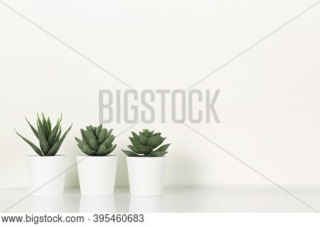 White Pots With Succulents And Cactus On Reflective Shelf Against White Wall