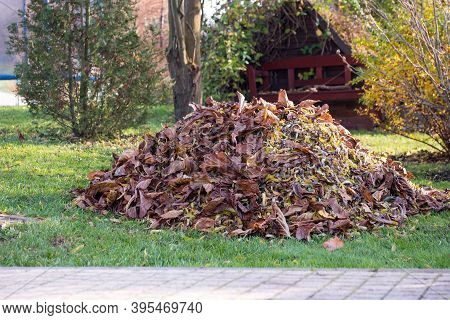 Bench In The Garden In Autumn Season With Leaves On The Ground. Trees And Bushes Lost Foliage And Ar