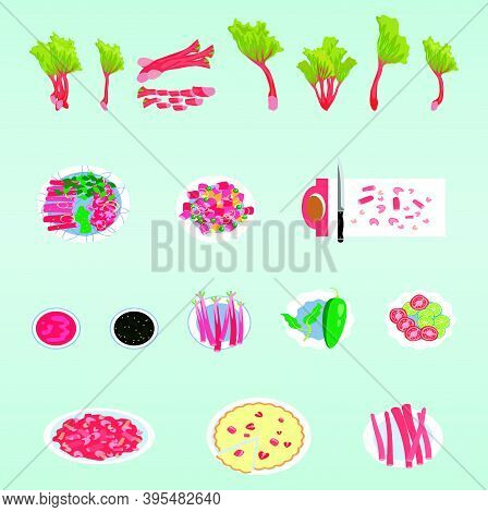 Set Of Rhubarb And Food With Rhubarb. Cartoon Icon Design Template With Various Models. Modern Vecto