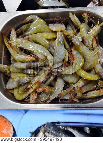 Fresh Tiger Prawns In A Plate With Ice On Black Textured Background