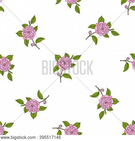 Seamless Pattern With Japanese Camellia Ornamental Plant. Hand Drawn Botanical Vector Illustration