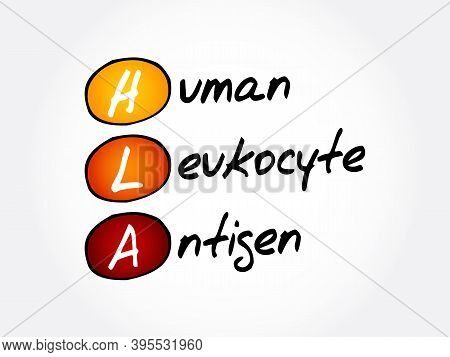 Hla - Human Leukocyte Antigen Acronym, Medical Concept Background