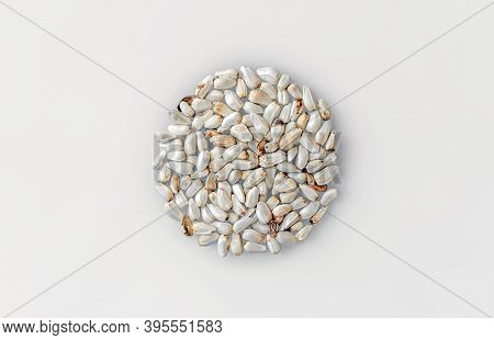White Safflower Seeds. A Sample Of A Batch Of Safflower Seeds On A White Picking Board. Agriculture.