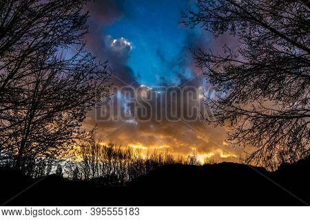 Shocking Sunset Among Dry Trees. Leafless Branches In The Fall.