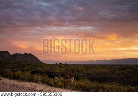 Shocking Sunset Between The Field. Landscape With Distant Mountains During Sunset.