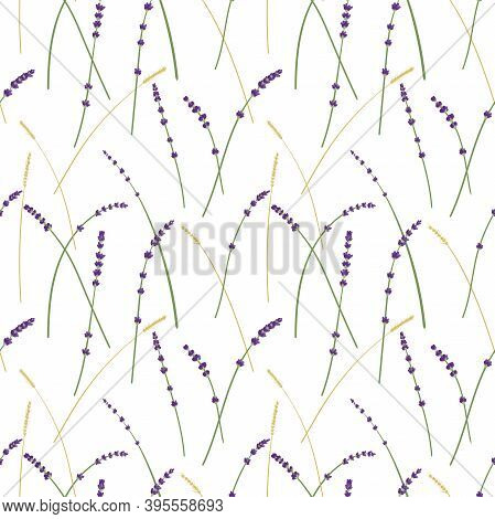 Lavender And Wheat Pattern, White Background, Provance Seamless Pattern