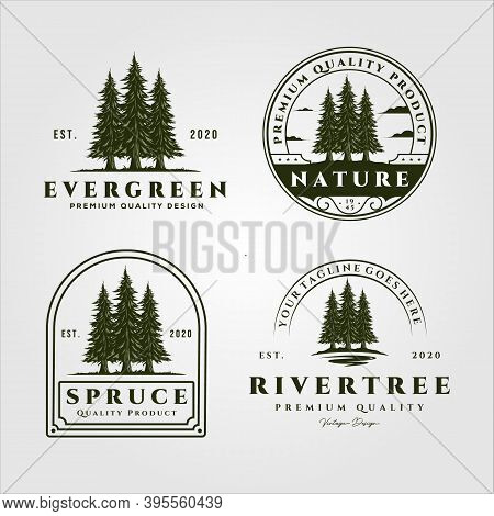 Pine Trees Vector Set Vintage Logo Illustration Design, Collection Of Evergreen Vector Logo Design