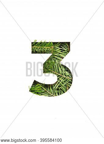 Number Three Of Natural Evergreen Spruce Tree And Paper Cut In Shape Of Third Numeral Isolated On Wh