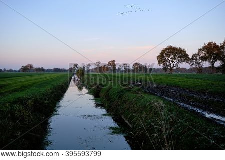Dutch Frisian Polder Landscape Scene With Green Pasture Meadows, Ditch, Canal And Migratory Birds In