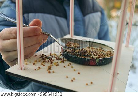 Boy Adds Grain To The Bird Feeder For Wintering Birds
