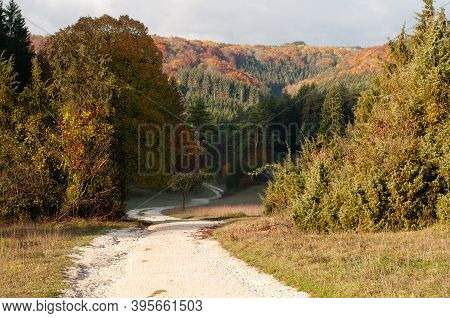 A Gravel Path Leading Into A Valley In Swabian Alb In Germany In Autumn Leaf Colors