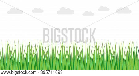 Vector Illustration Of Meadow Grass Background With Clouds. Green Grass.