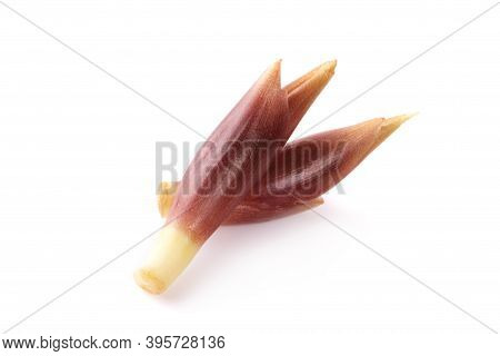 Mioga An Isolated On A White Background