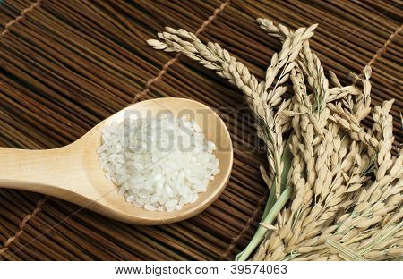 Baldo ข้าวในช้อนไม้