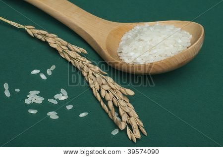 Baldo ข้าวในช้อนไม้