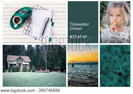 Collage Set Made Of Photos Toning In Tidewater Green Color. Trendy Creative Design In Color Of 2021.