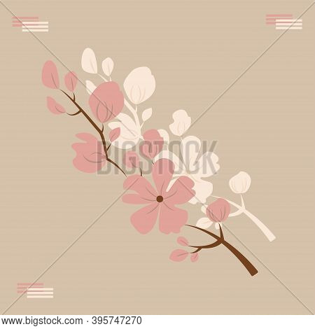 Spring Flowers, Cherry Blossom, Background, Wallpaper And Pattern. Vector Illustration