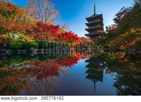 The Wooden Pagoda Of Toji Temple With Beautiful Maple Leaves, Kyoto, Japan