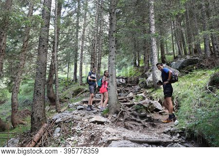 Two Brothers And A Sister Walking In The Path In The Middle Of The Woods During A Mountain Trip In T