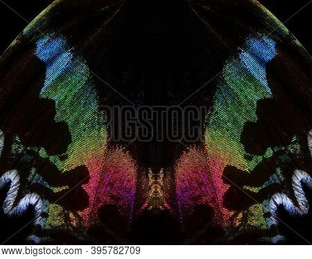 Colorful Wing Of A Tropical Butterfly Close-up. Abstract Pattern Butterfly Wing Texture Background. 
