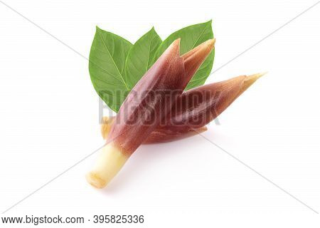 Mioga An Isolated On A White Background